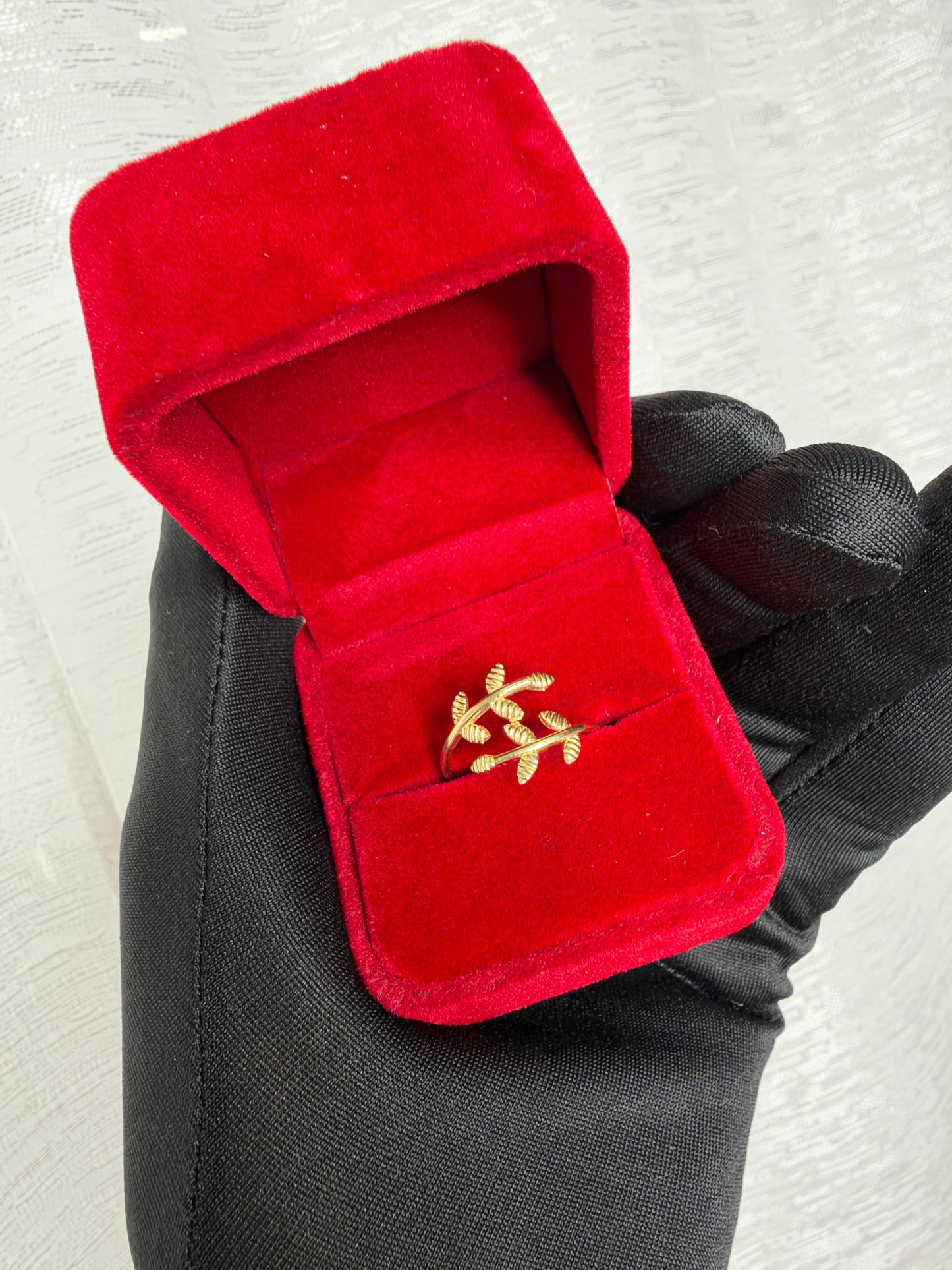 Anillo