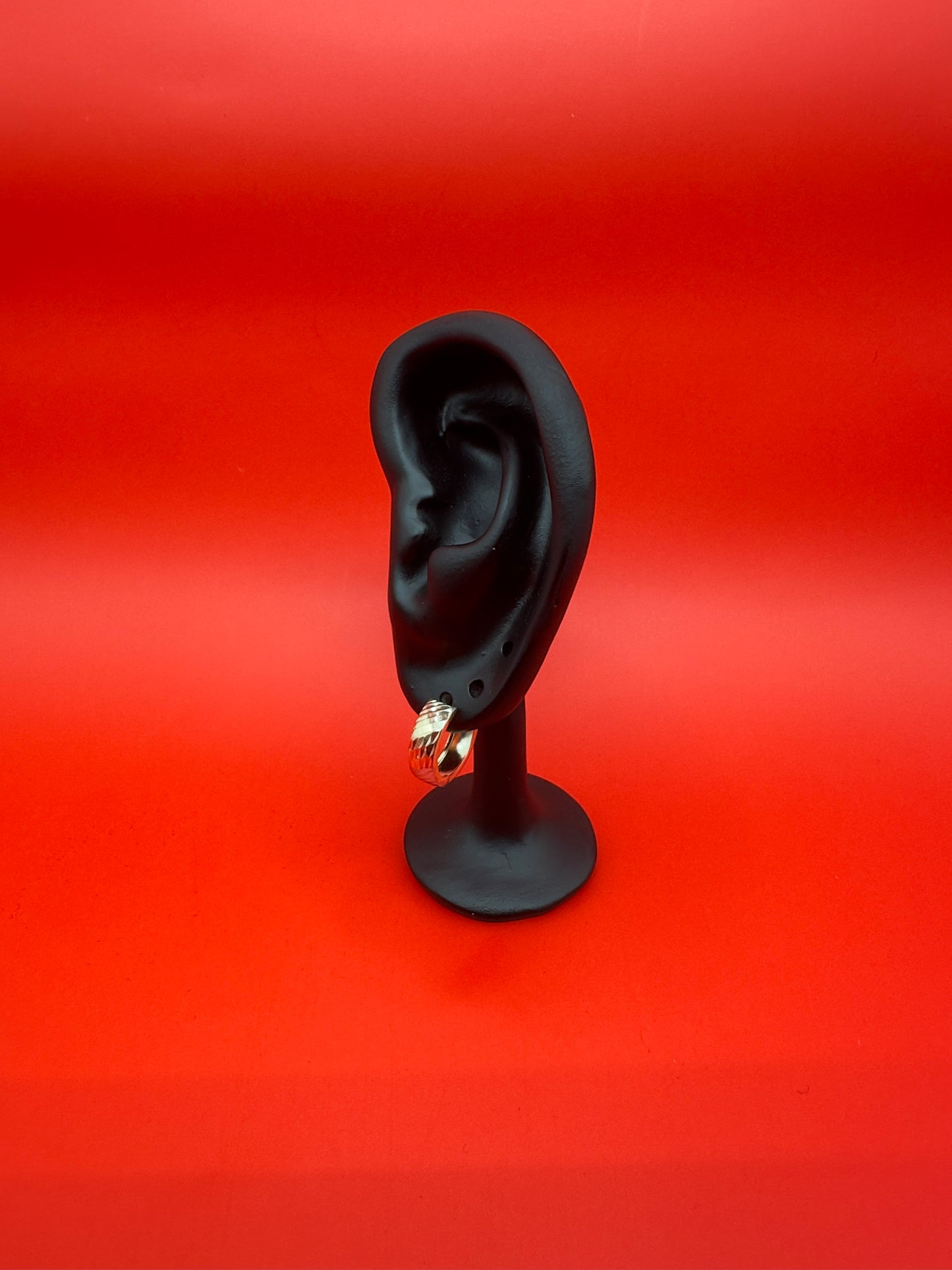 Fancy Hoops Earrings